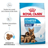 Croquettes pour chiot - ROYAL CANIN Starter Maxi Mother & Babydog - Croquettes pour chiot 