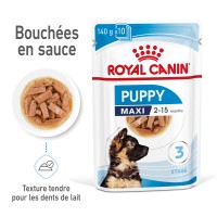 Pâtée en sachet pour chien - Royal Canin Maxi Puppy en Sauce - Pâtée pour chiot 