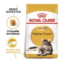 Croquettes pour chat - Royal Canin Maine Coon Adult - Croquettes pour chat 