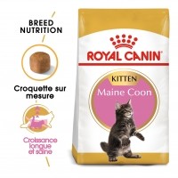 Croquettes pour chat - Royal Canin Maine Coon Kitten Maine Coon Kitten