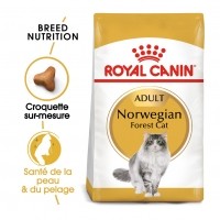 Croquettes pour chat - Royal Canin Norvégien Adult Norvégien