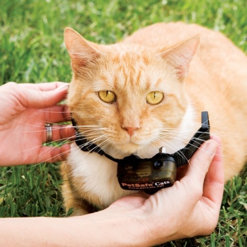 Chatière, sécurité, anti-fugue - Clôture Cat Fence anti-fugue pour chats