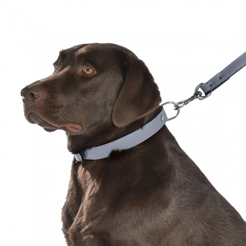 Sélection Made in France - Collier Tomy - Gris pour chiens