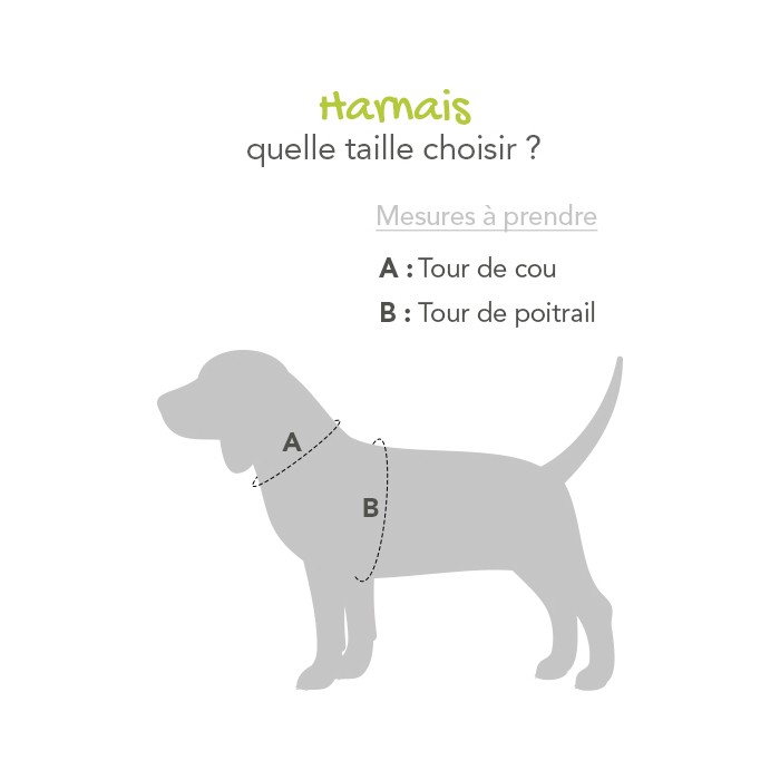 Care Friday - Harnais Style pour chiens