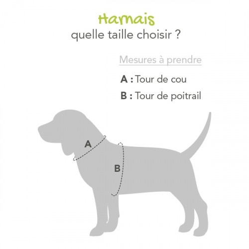 Sélection Made in France - Harnais Canicross X-Back Phoenix pour chiens