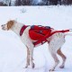 Collier, laisse et harnais - Sacoches Confort Trek pour chiens
