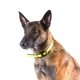 Sécurité et protection - Collier IDC Lumino - Jaune fluo pour chiens