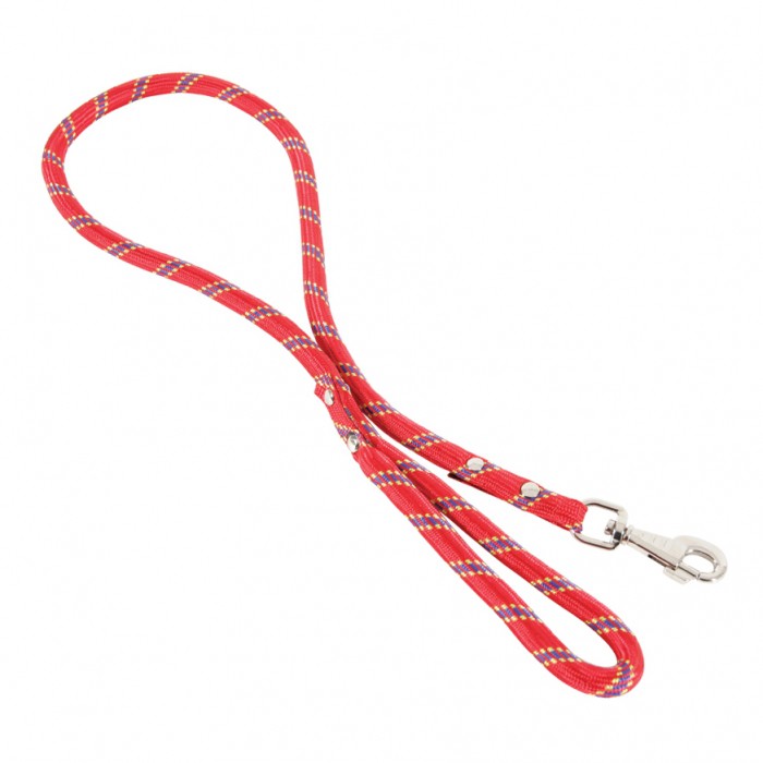 Collier, laisse et harnais - Laisse corde Nylon  pour chiens