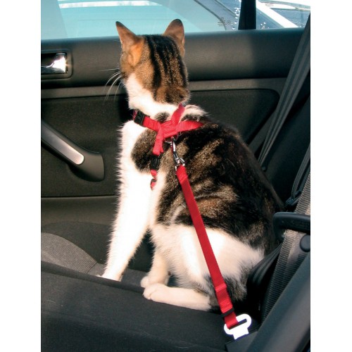 Transport du chat - Harnais chat voiture pour chats