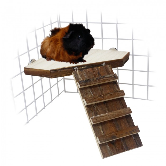 Couchage et habitat rongeur - Plateforme et rampe en bois pour rongeurs