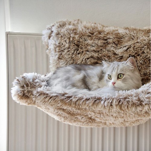 Couchage pour chat - Hamac radiateur poilu gris pour chats