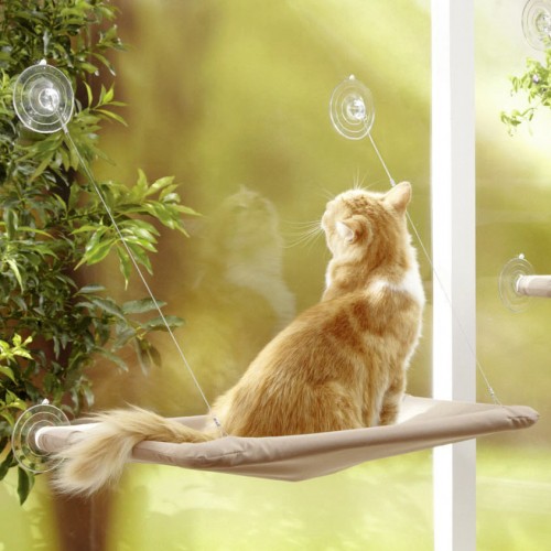 Couchage pour chat - Hamac de fenêtre pour chats