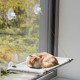 Couchage pour chat - Hamac Cosy de fenêtre pour chats