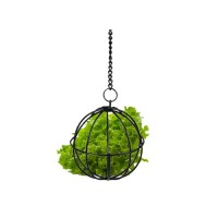 Support aliment - Food-Ball, porte-salade 