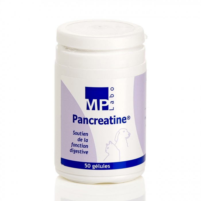 Pancreatine