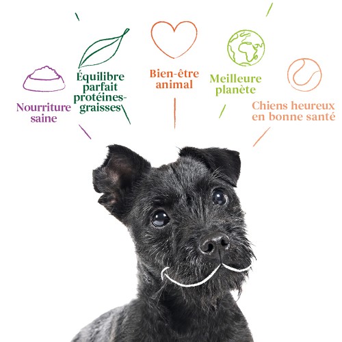 Friandise & complément - Yarrah biscuits bio végétarien pour petit chien pour chiens