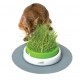 Friandise & complément - Jardin d'herbe Senses Design pour chats