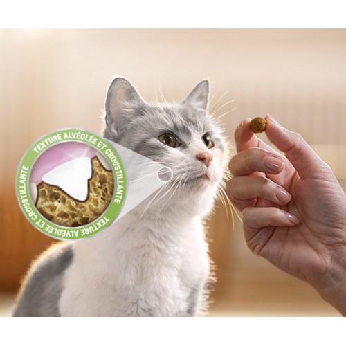 Friandise & complément - Bouchées Dentalife au saumon - Friandises bucco-dentaires pour chat pour chats