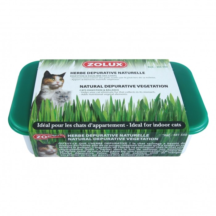 Friandise & complément - Herbe à chat dépurative naturelle pour chats