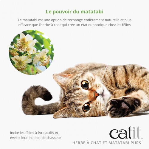 Stress, comportement chat - Mélange pur d'herbe à chat et matatabi pour chats