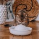 Gamelle, distributeur & fontaine - Fontaine d'eau Vital Flow pour chats