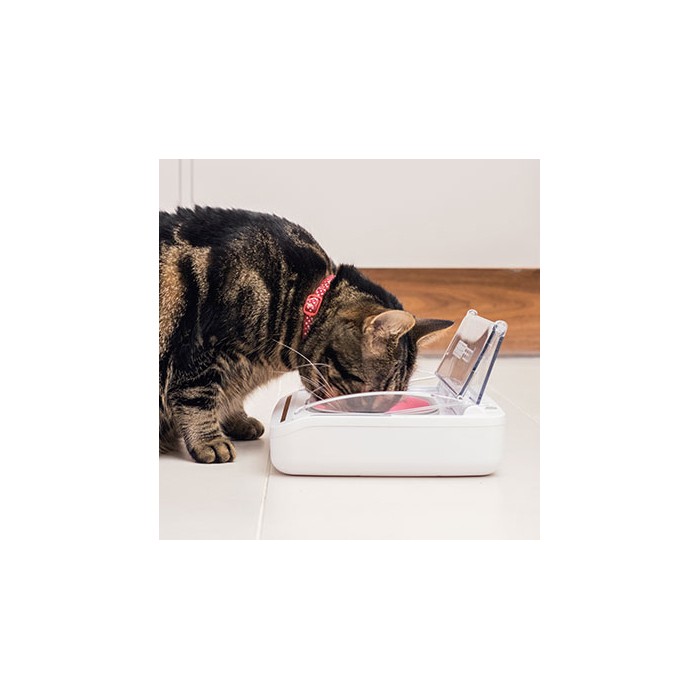 Gamelle, distributeur & fontaine - Gamelle hermétique pour chats