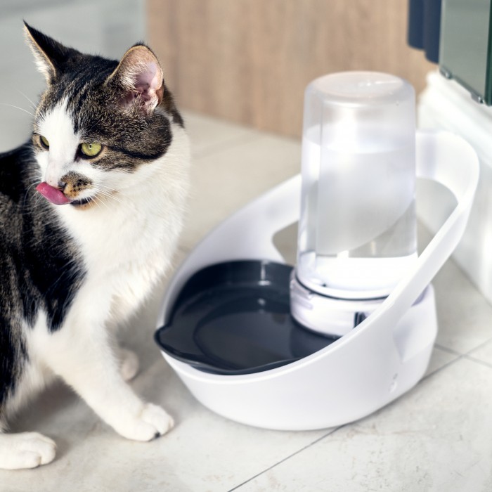 Gamelle, distributeur & fontaine - Distributeur d'eau Felaqua Connect pour chats