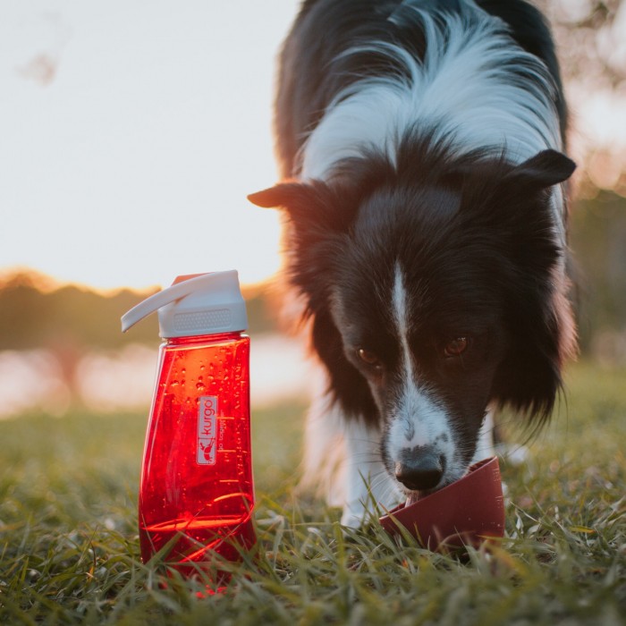 Gamelle et distributeur - Gourde Bottle & Bowl pour chiens