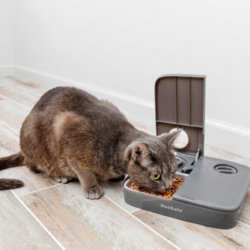 Gamelle, distributeur & fontaine - Distributeur mécanique 2 repas pour chats