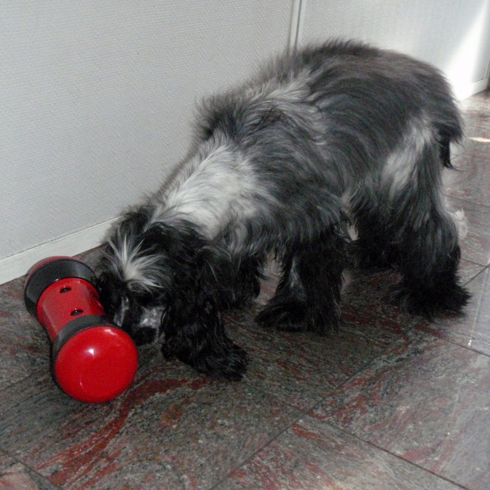 Jouet pour chien - jouet distributeur anti-anxiété Pipolino pour chien pour chiens