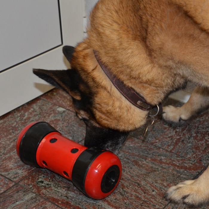 Jouet pour chien - jouet distributeur anti-anxiété Pipolino pour chien pour chiens