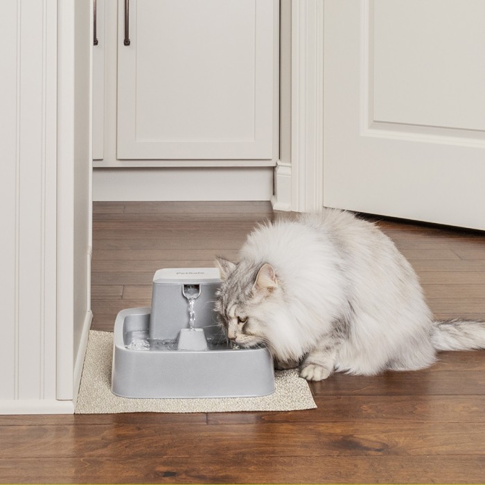 Gamelle, distributeur & fontaine - Fontaine Drinkwell PWW19 pour chats