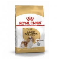 Croquettes pour chien - Royal Canin Cavalier King Charles Adult - Croquettes pour chien Cavalier King Charles