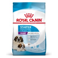 Croquettes pour chien - ROYAL CANIN Size Nutrition Giant Starter