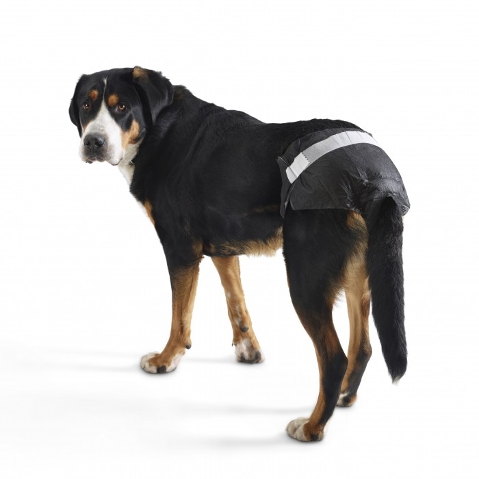 Boutique senior - Couches culottes Comfort pour chiens