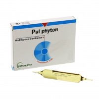 Solution pour inhalations - Pul Phyton Vétoquinol