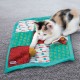 Jouet pour chat - Tapis de jeu Puzzlements Pockets pour chats
