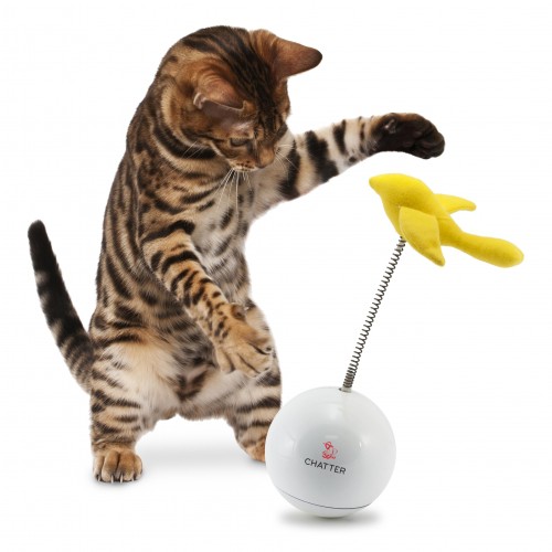 jouet chat autonome