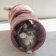 Jouet pour chat - Tunnel Cylla Rose pour chats