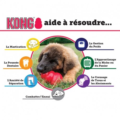 Boutique chiot - Jouet pour chiot  KONG pour chiens