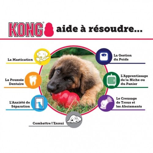 Jouet pour chien - Jouet Extreme KONG - Jouet à mâcher ultra-résistant pour chien pour chiens