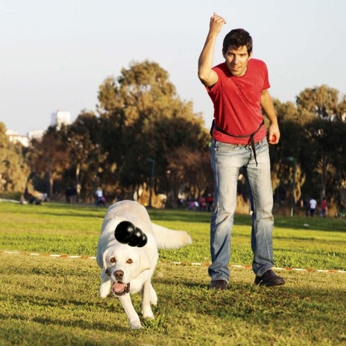 Jouet pour chien - Jouet Extreme KONG - Jouet à mâcher ultra-résistant pour chien pour chiens