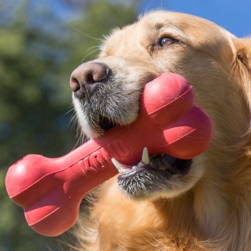 Jouet pour chien - Os Goodie Bone KONG - Jouet à mâcher pour chien pour chiens