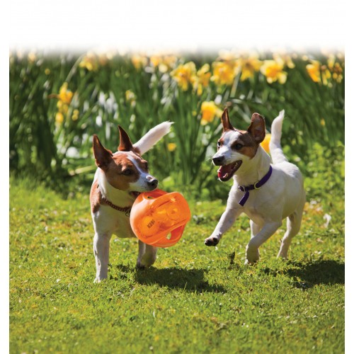 Jouet pour chien - Ballon Jumbler pour chiens