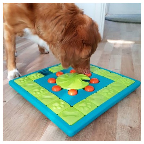 Jouet pour chien - Jouet distributeur Dog MultiPuzzle pour chiens