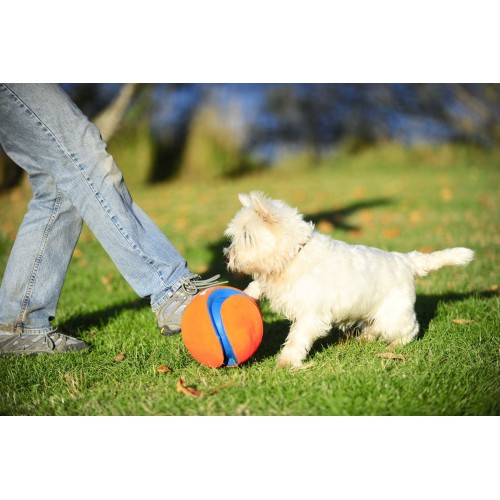 Jouet pour chien - Ballon Kick Fetch pour chiens