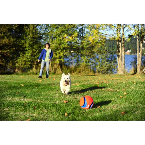 Jouet pour chien - Ballon Kick Fetch pour chiens