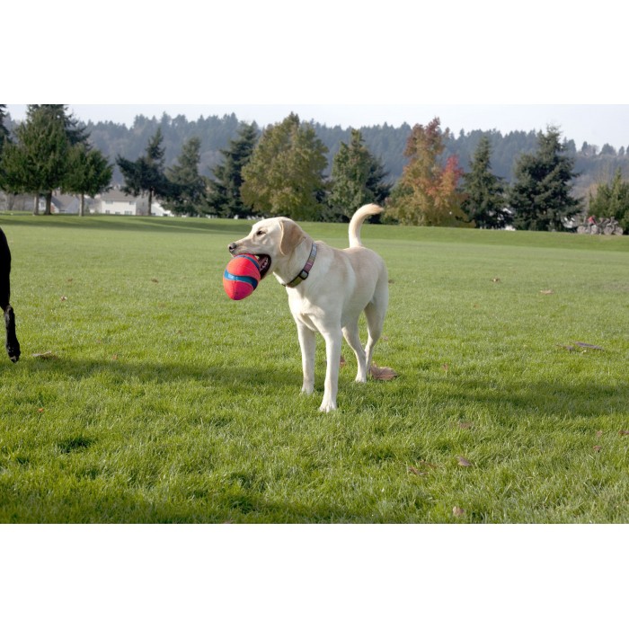 Jouet pour chien - Ballon Fumble Fetch pour chiens
