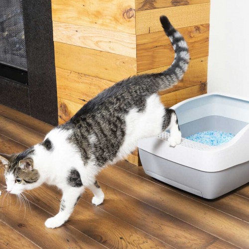 Litière chat, maison de toilette - Bac à litière Crystal Deluxe pour chats