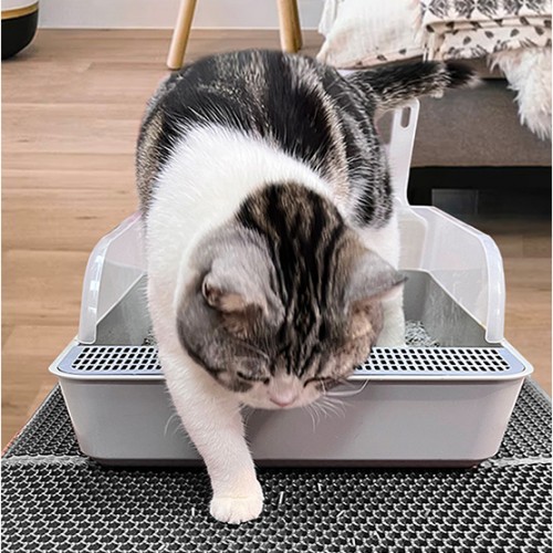 Litière chat, maison de toilette - Tapis de toilette avec tamis XL pour chats